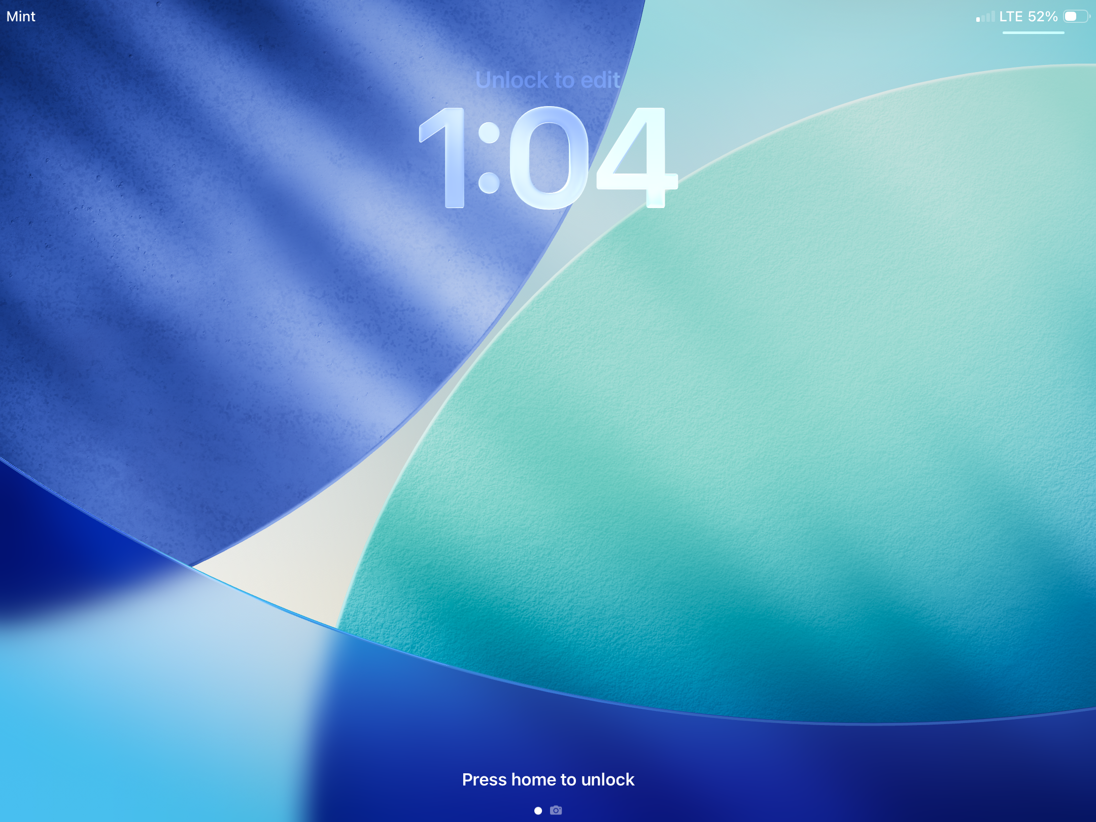 Chimney Cap Installation