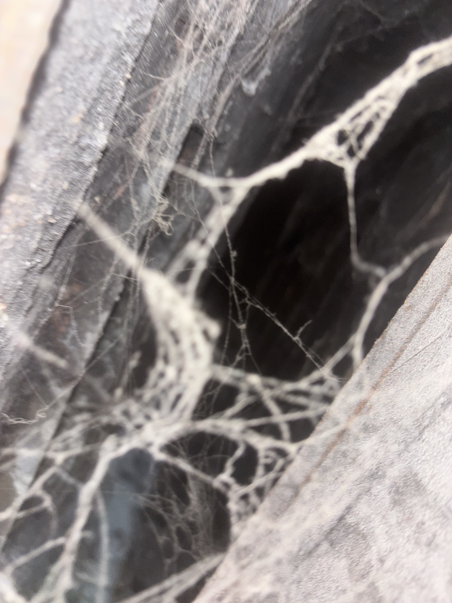 Chimney Cap Installation