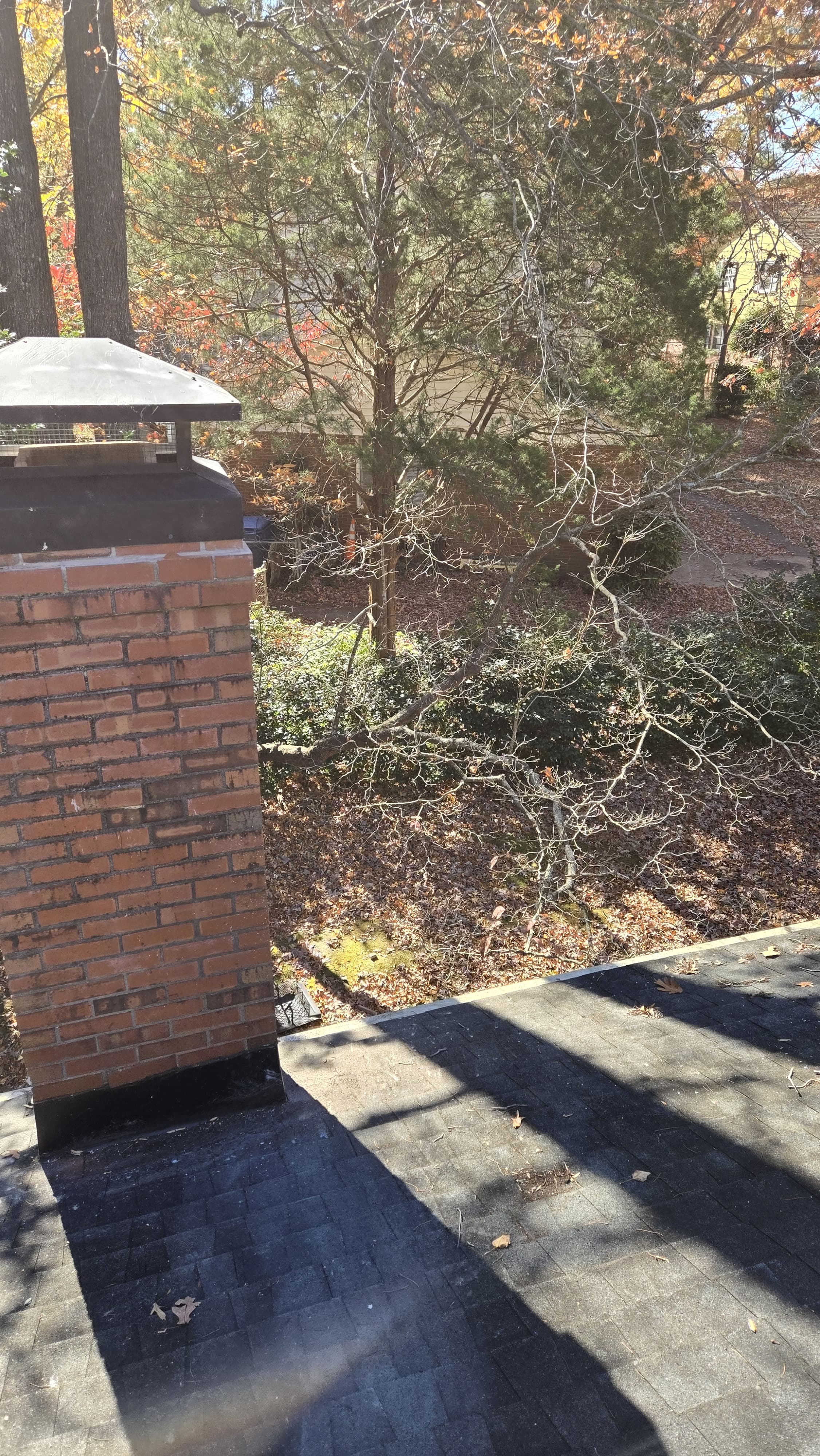 Chimney Inspection